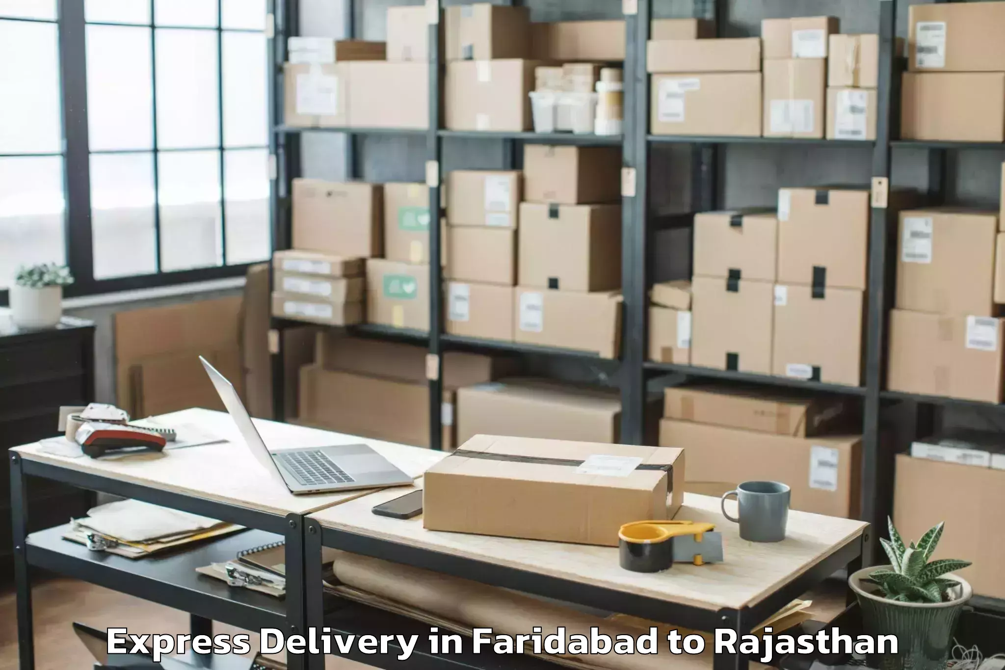 Reliable Faridabad to Raisingh Nagar Express Delivery